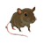 Gros rat